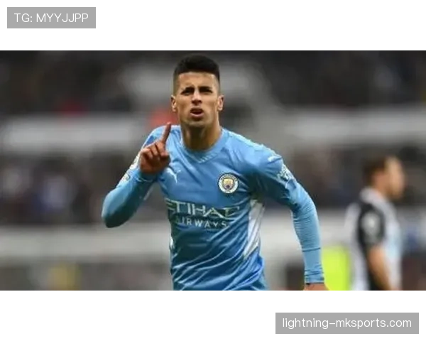 坎塞洛技术全面性